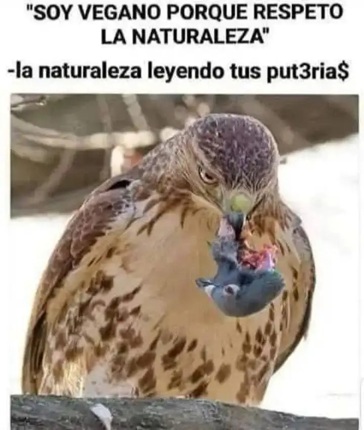 Enrique15805940's tweet image. 