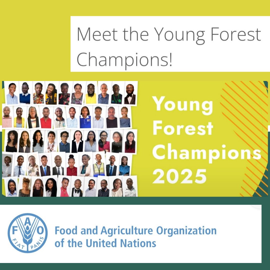 Adigao Alvin Wenia (@alvinadigao) on Twitter photo I’m young. I’m learning. I’m growing.
I’m proud to be recognized as one of <a href="/FAO/">Food and Agriculture Organization</a>’s 50 Young Forest Champions.
As part of the #AIM4Forests initiative, I am joining hands with young changemakers across the globe to protect, restore, and speak up for the lungs of our Planet. I’m young. I’m learning. I’m growing.
I’m proud to be recognized as one of <a href="/FAO/">Food and Agriculture Organization</a>’s 50 Young Forest Champions.
As part of the #AIM4Forests initiative, I am joining hands with young changemakers across the globe to protect, restore, and speak up for the lungs of our Planet.