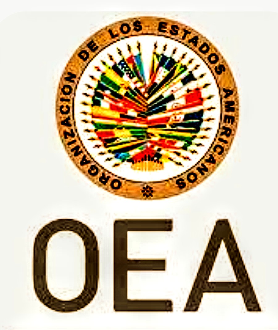 En la Carta Democrática Interamericana, firmada en 2001 por México, dice lo siguiente:

《Las misiones de observación electoral deberán informar al Consejo Permanente, a través de la Secretaría General, si no existiesen las condiciones necesarias para la realización de elecciones