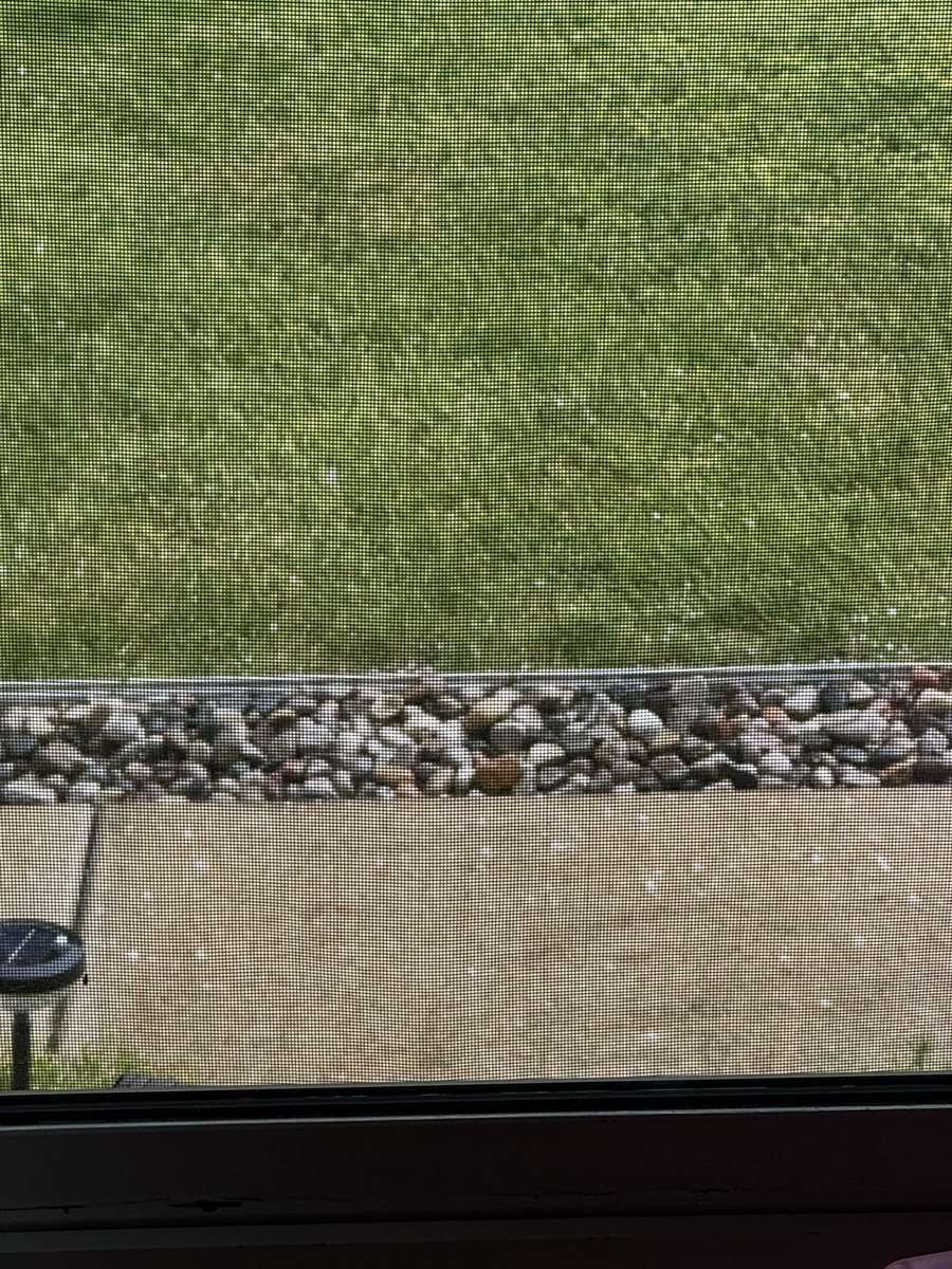 Pea size hail in Plainwell, MI just now  

<a href="/ellenbacca/">Ellen Bacca</a> <a href="/ryanhallyall/">Ryan Hall, Y’all</a>