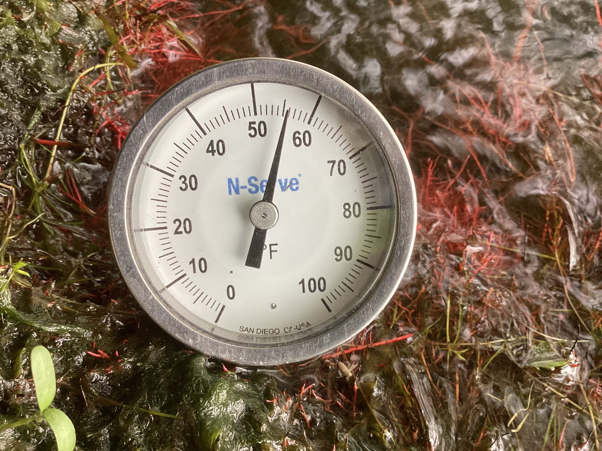 Monday June 9th  2025 Soil Temperature in Southern MN were 56F at 2” and 55F at 6-8” in worked soil at 1:30 PM. Air Temps were 59F at the time on a Cloudy day with winds out of the NW at 15-20MPH.

Water temperatures were 56F at the time.