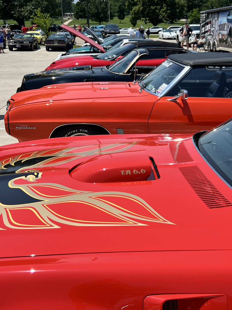 Bandit Run Ric tweet media