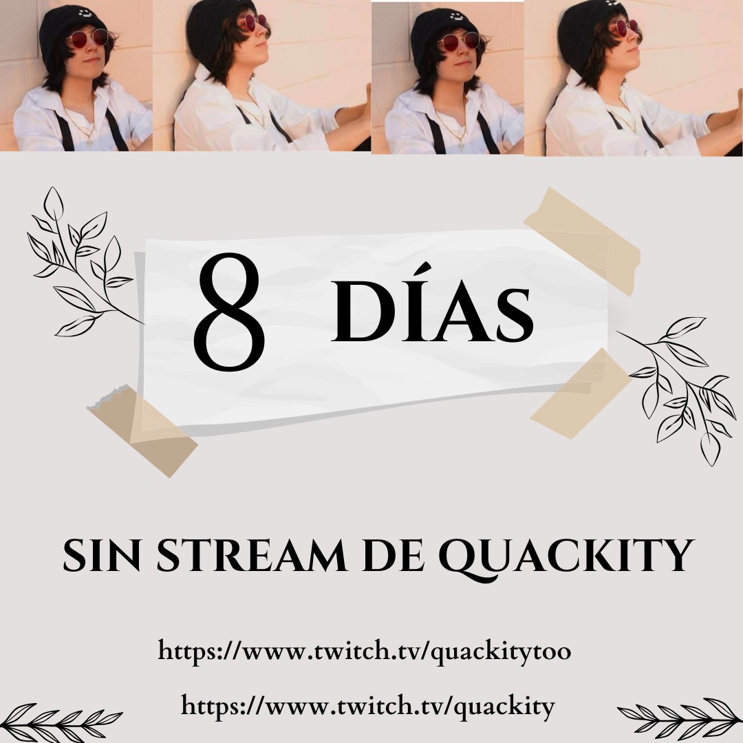 No Quackity Stream / 8 Días