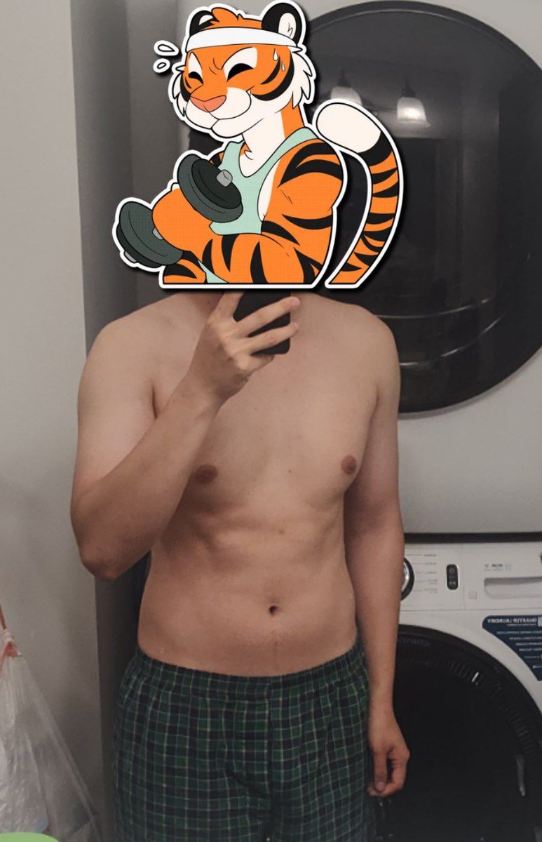 ArtKoumoh's tweet image. pawgress