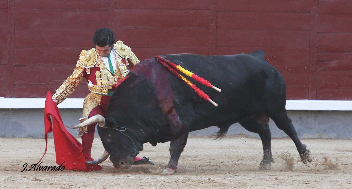 fotoroalvarado tweet media