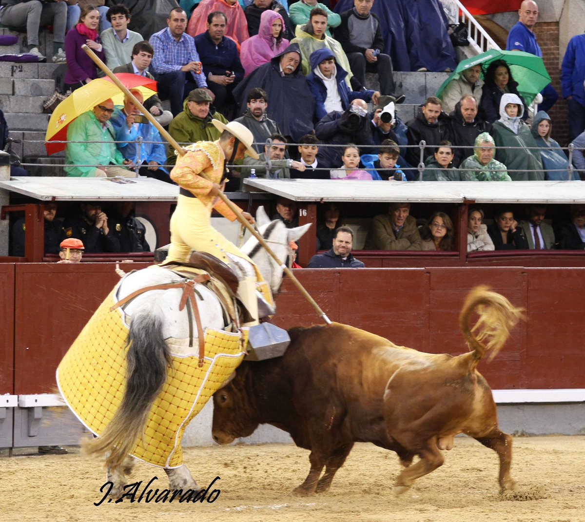 fotoroalvarado tweet media