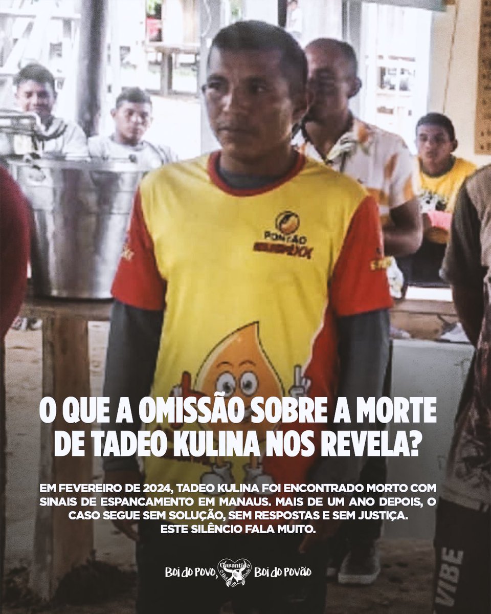 Boi Garantido tweet media