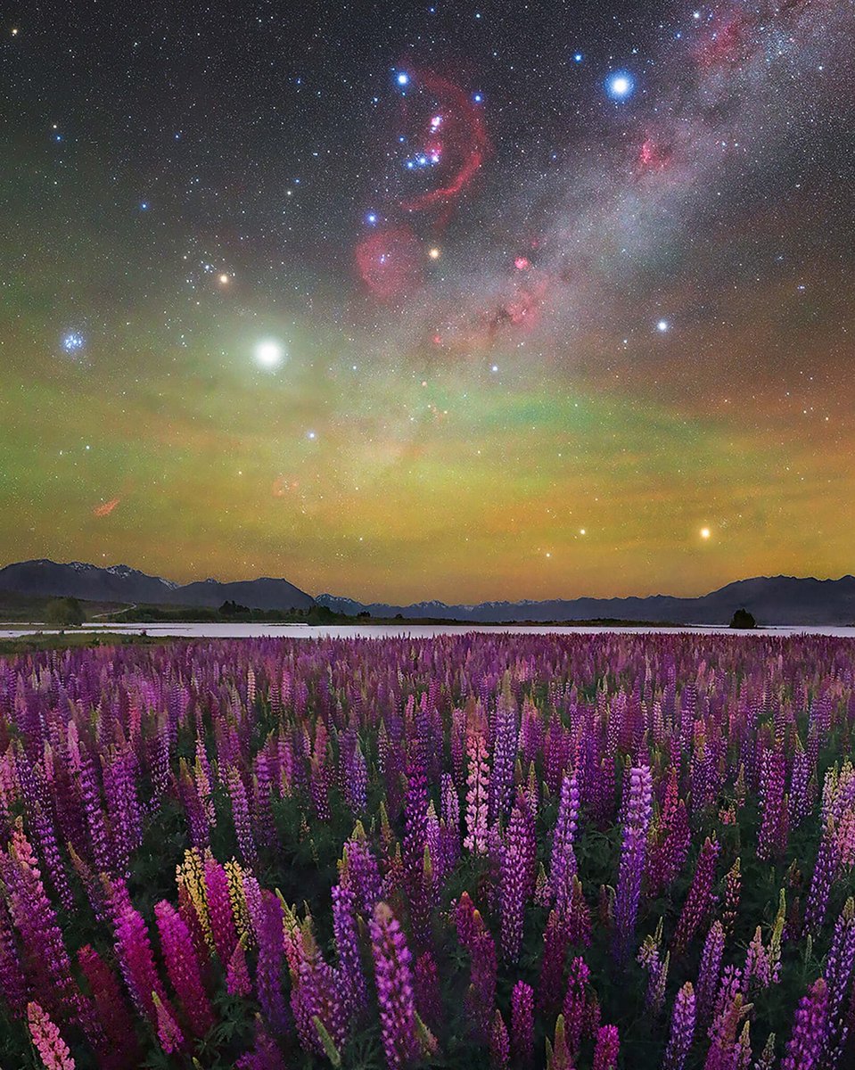 Beauty lifts me out of my fearful self into the wonder of life on this exquisite little planet!