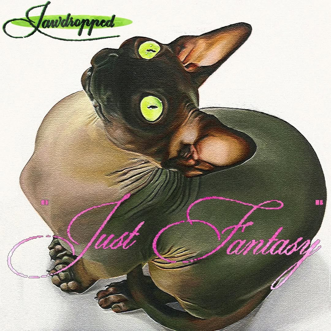 Introducing the newest addition to the Brilliant Corners roster, Jawdropped! The Los Angeles four-piece has been turning heads with their debut EP, ‘Just Fantasy’, since it was released this spring via Angel Tapes / <a href="/firetalkrecs/">Fire Talk</a>. We’re so happy to be a part of the team!