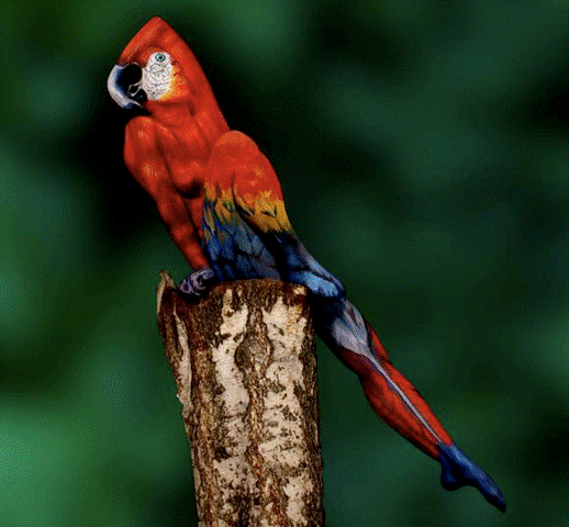 Reading body language is much like this picture.

Only when you learn to o-b-s-e-r-v-e does an overlooked perspective appear.