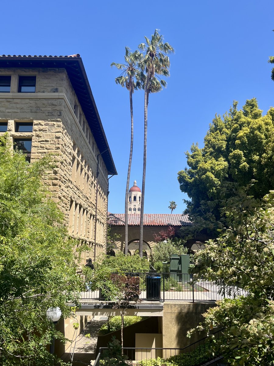 Christiane Büttner tweet media