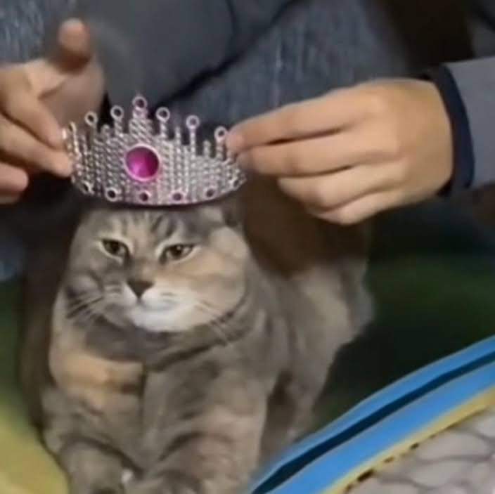 La residencia en memes:
R1 - R2 - R3 - R4