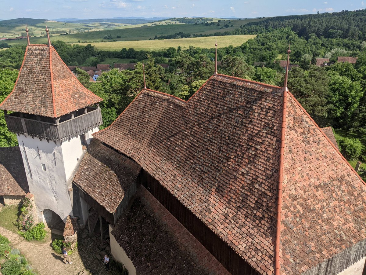 GoodLifeMeatCo tweet media