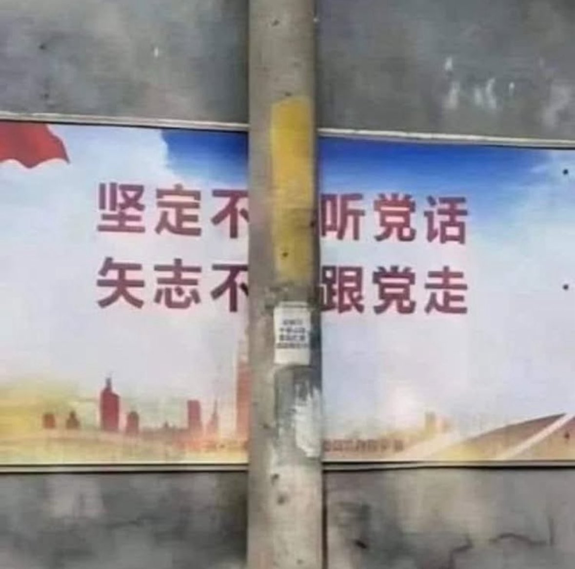 每日反共🇺🇦 tweet media
