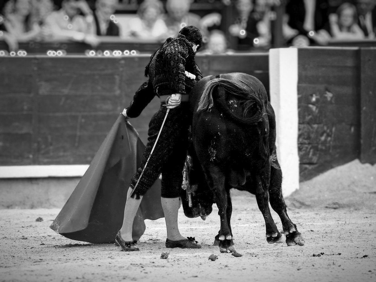 Madrid, 08/06/2025. No hay nada que añadir. No existen las palabras ni la música ni los silencios. Por no existir, no existe nada y todo al mismo tiempo. Quizás, solo exista el llanto y, aún así, no alcanza para tanto... Dios te salve Rey de los Toreros. ¡Gracias, Morante! ❤️
