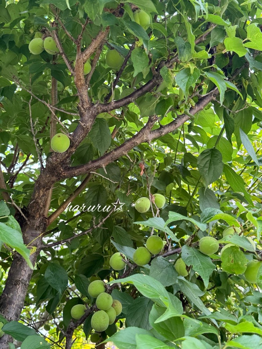 おはようございます
 今日も宜しくお願い致します·͜· ꕤ︎︎
 #プロフィール絶対読んでください
 #フォロー外いいねリポスト🈲