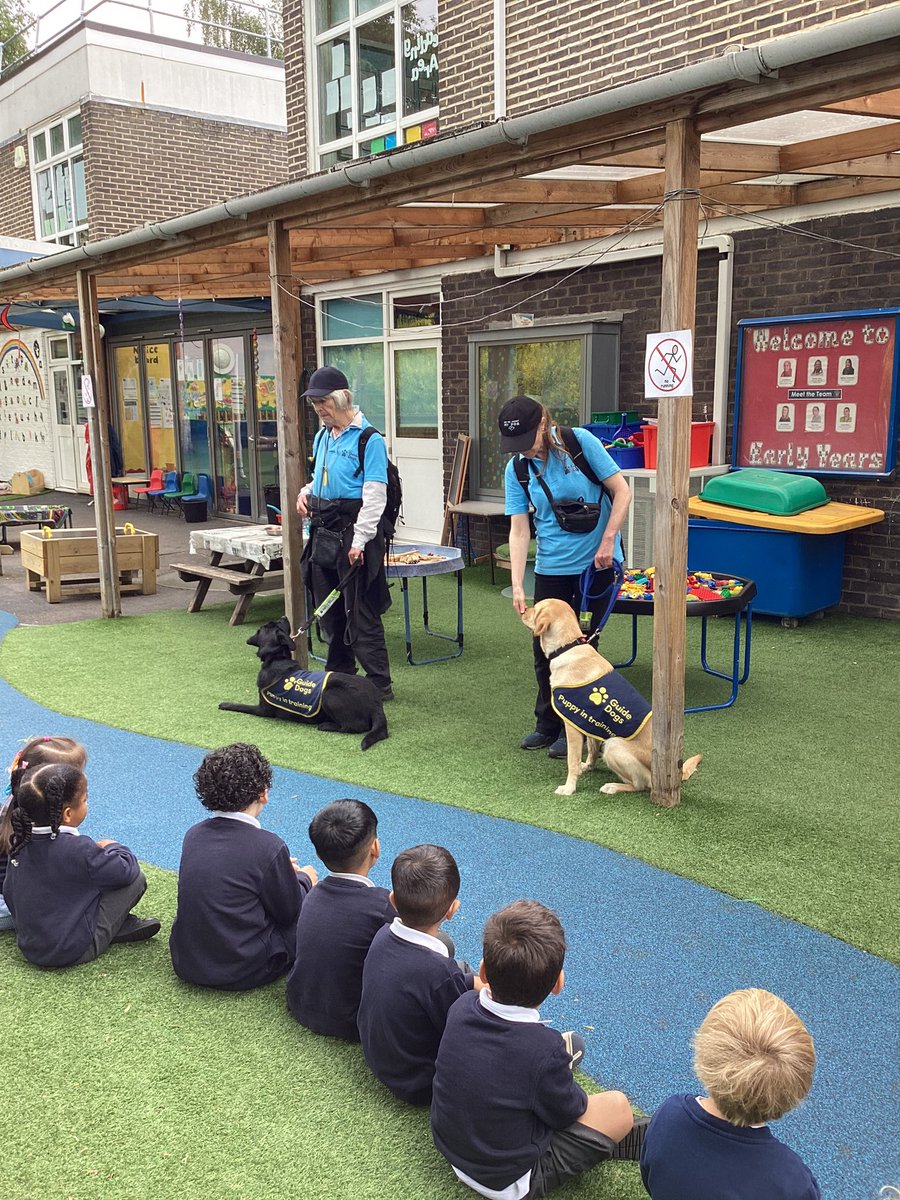 Today we were visited by guide dogs Bloom and Ida, together with their puppy raisers Charlotte and Sue. For more pics of when the pups met the pupils, head on over to our brand new <a href="/instagram/">Instagram</a> page … @ashmoleprimaryschool 👀