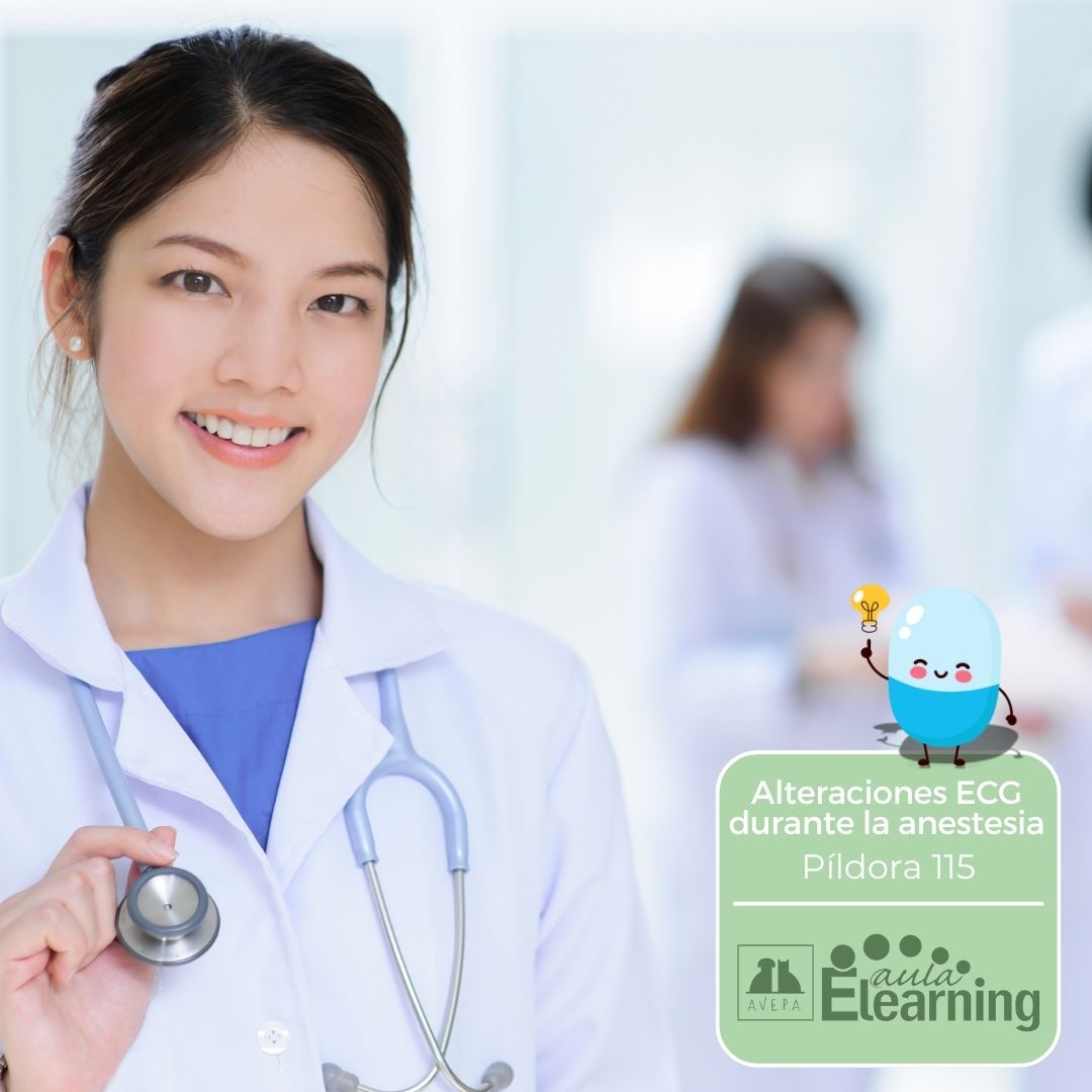 Aprende cómo actuar ante alteraciones #ECG durante la #anestesia con esta nueva #píldoraAVEPA con Agustín Martínez Albiñana.
Accede aquí formacion.avepaelearning.com/course/info.ph…
#FormaciónVeterinaria #AnestesiologíaVeterinaria #AVEPAElearning