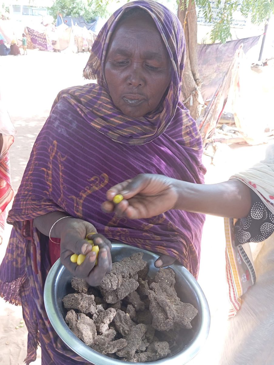 qoga12's tweet image. El Fasher is facing a deepening humanitarian crisis as siege and starvation grip the city. Residents line up in desperate queues for ambaz, a stark image of daily suffering. Charity kitchens and local initiatives struggle to help but cover less than 10% of city’s growing needs.