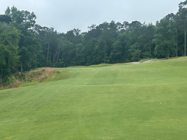 Went on a quick golf trip to Fayetteville NC with my homies. Played a great course - Bayonet at Puppy Creek. Great condition, terrific layout with lots of movement, big tough greens. This is a UCPGA must play. Great trip - 90 holes in 3 days. Also played
Gates Four CC good layout