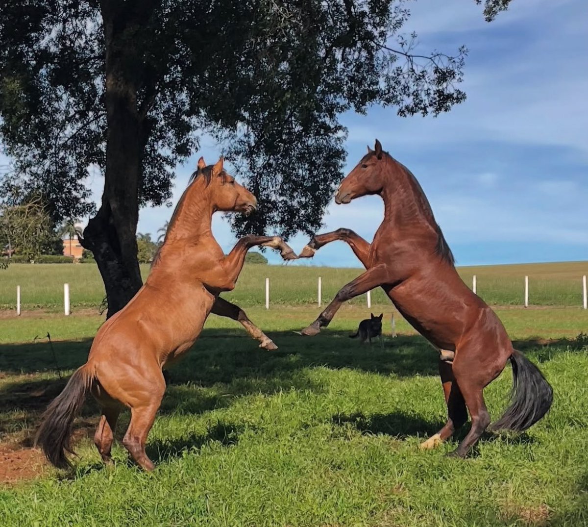 Me & Who? (@tagyourwho) on Twitter photo 