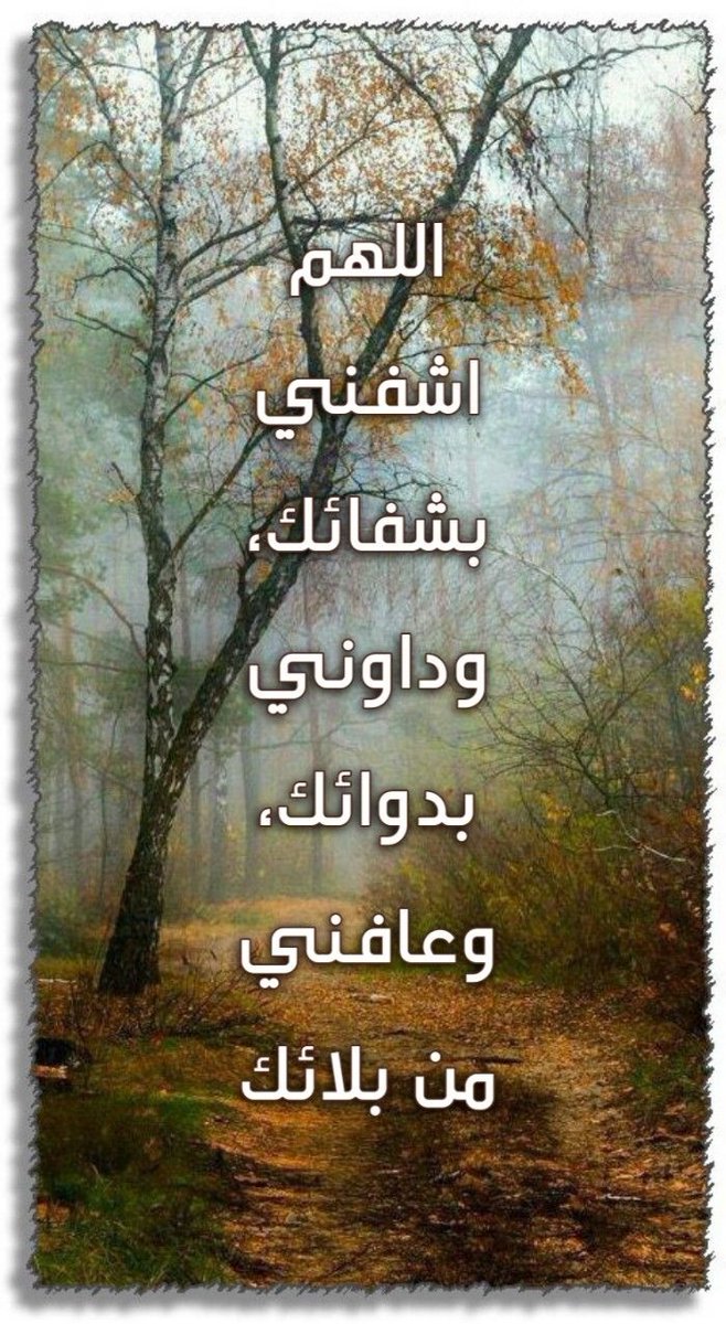 الفهد 𐩱𐩡𐩰𐩠𐩵 (@haunaish) on Twitter photo 