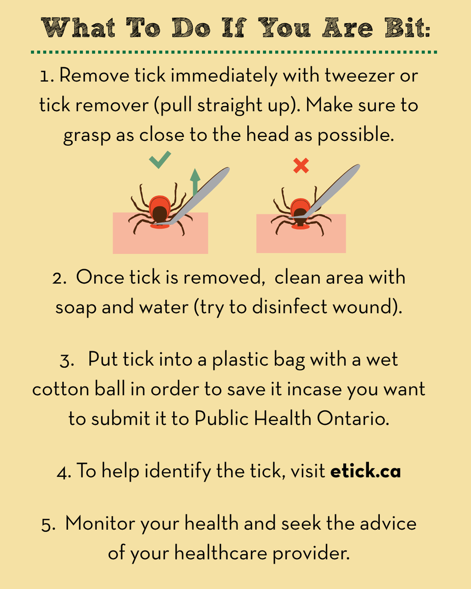 Getting outside and enjoying the weather this summer is important for your health and well-being. But while you're out exploring nature, it's also important to be mindful of ticks. For more information and tips, visit etick.ca.