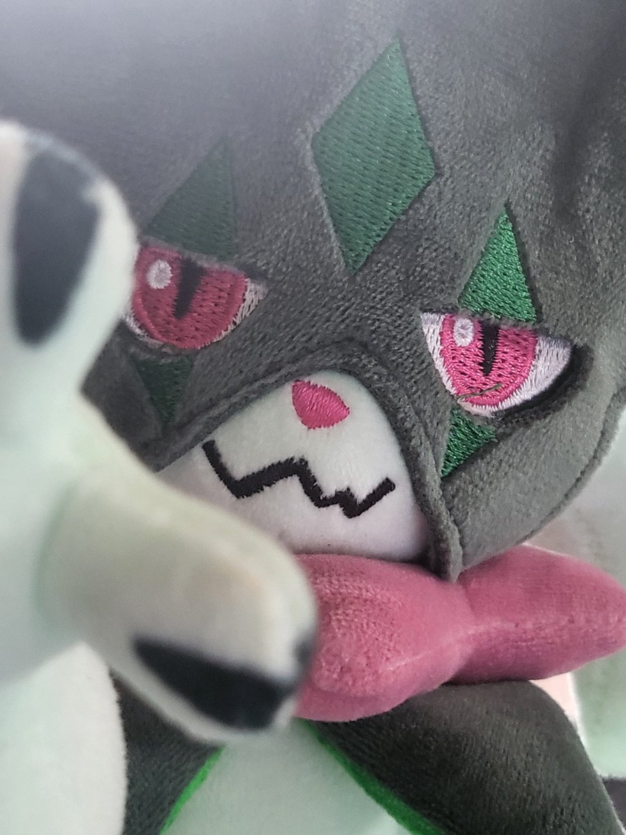 Meowscarada selfie 📸