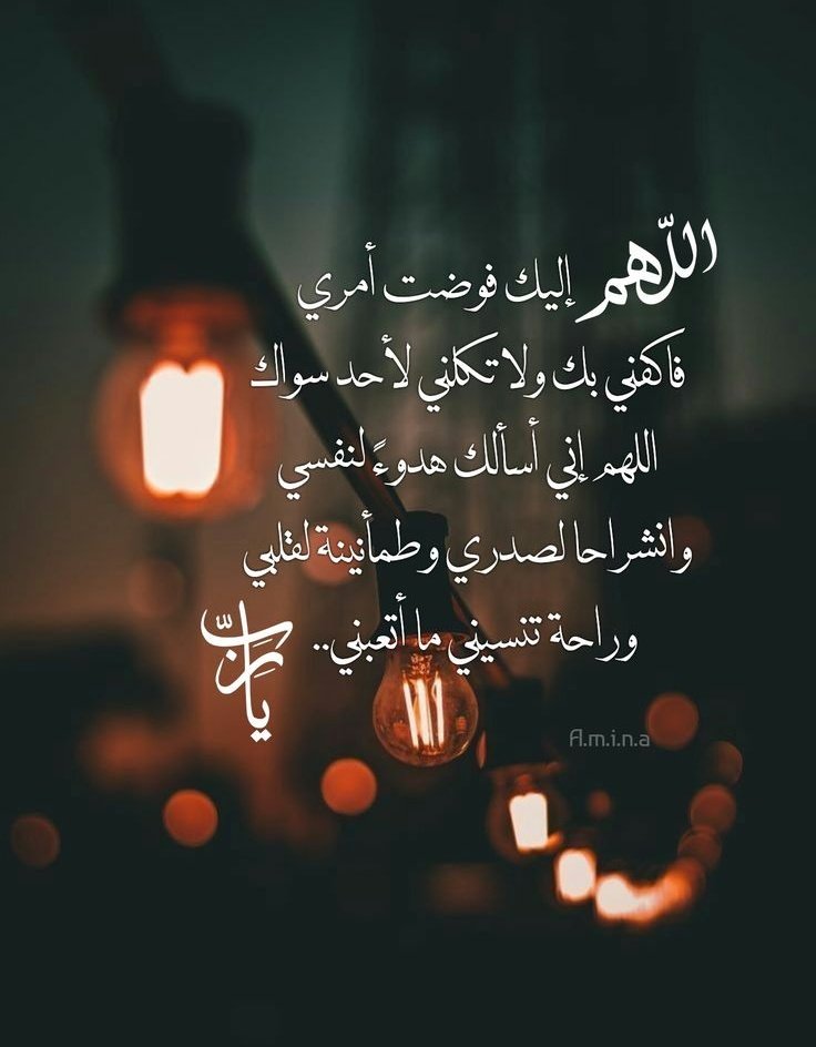 الفهد 𐩱𐩡𐩰𐩠𐩵 (@haunaish) on Twitter photo 