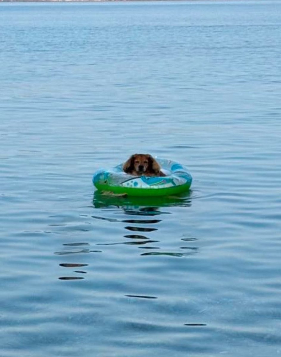 Arkadaslar final öncesi hocalara nerelerden sorarsiniz, sorulariniz nasil tarzı sorular sorabiliyor musunuz ve cevap veriyorlar mı?