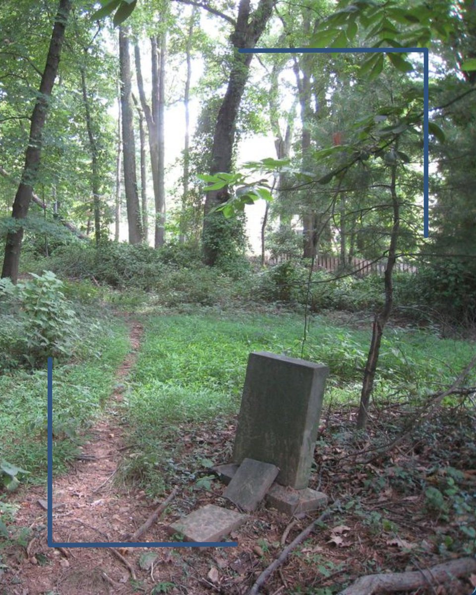 FxGenSoc's tweet photo. 🕯️ Tucked behind a Vienna home, the Carter Family Cemetery once held at least five burials—now only one gravestone remains. Overgrown and nearly forgotten, it’s a quiet reminder of how fragile family history can be. #CemeteryStories #FxGS #GenealogyMatters https://t.co/XWbDyhkLIM