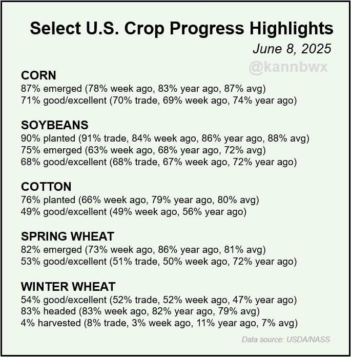 Karen Braun tweet media