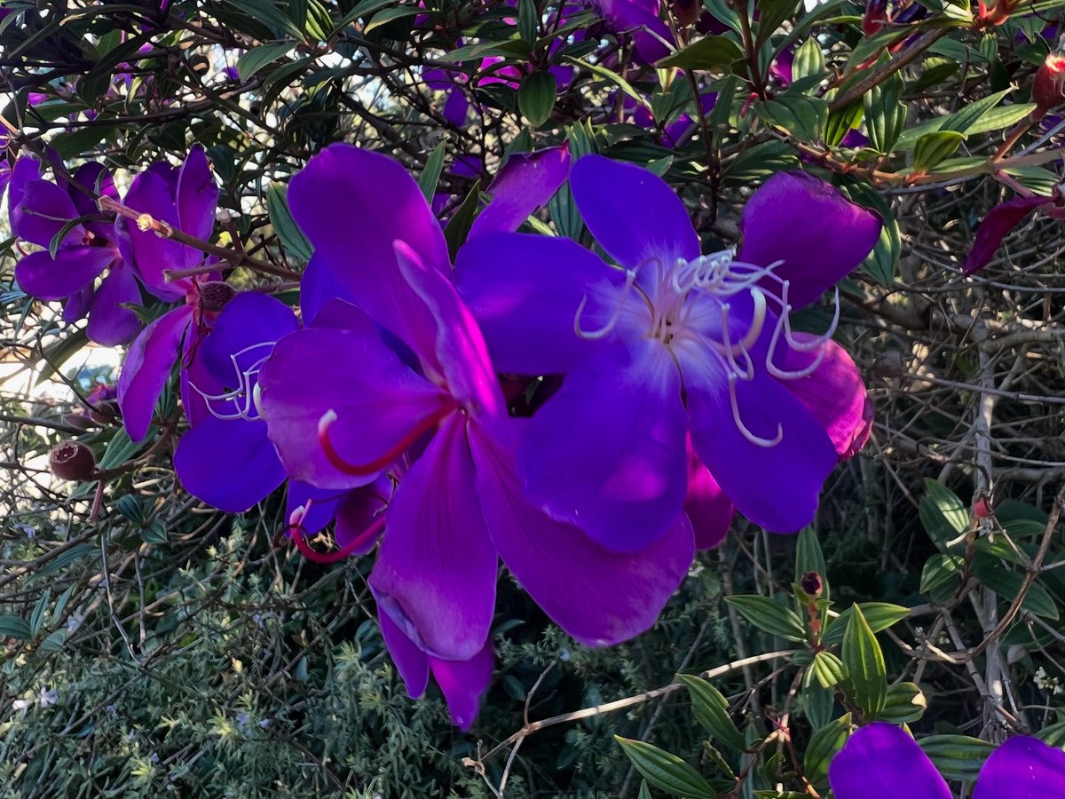 Happy Tuesday #bloomscrolling