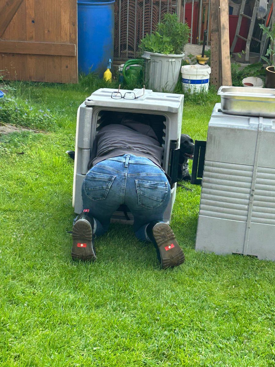 sistersoftaste's tweet photo. 16:30 wurde heute noch das Geschirr der einen gestrigen Festivität abgeholt, danach daheeme Equipment sauber (gemacht und) ins Lager geräumt. Und dann haben wir ausgesuchte Kleinigkeiten (Übriges aka Reste 😉) zu Abend gegessen. https://t.co/1u8GqlR8Q5