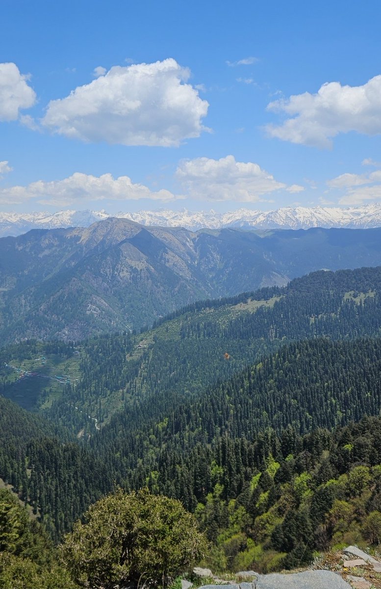 Ramdhari Singh Builder (@parikshit_k_) on Twitter photo 