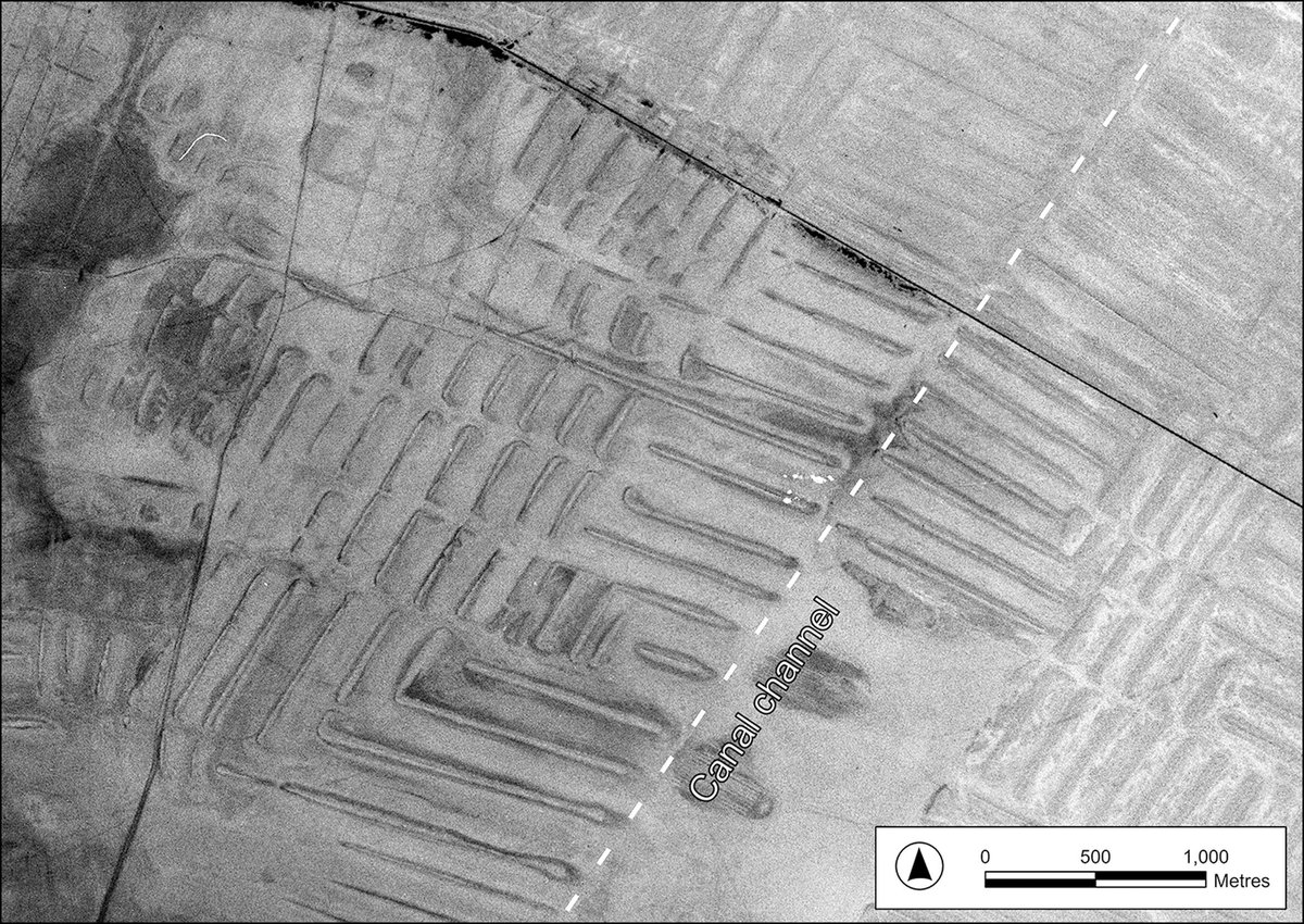 NEW Did a slave revolt cause the decline of medieval farming in southern Iraq?

New dates suggests earthworks in the region stayed in use following the 9th-century-AD Zanj rebellion, questioning the traditional historical narrative.

🆓 doi.org/10.15184/aqy.2…