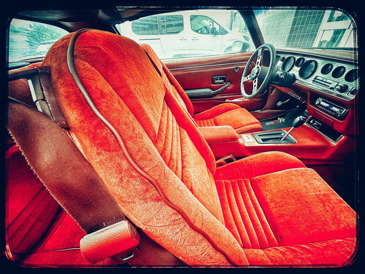 Rando screaming chicken content.