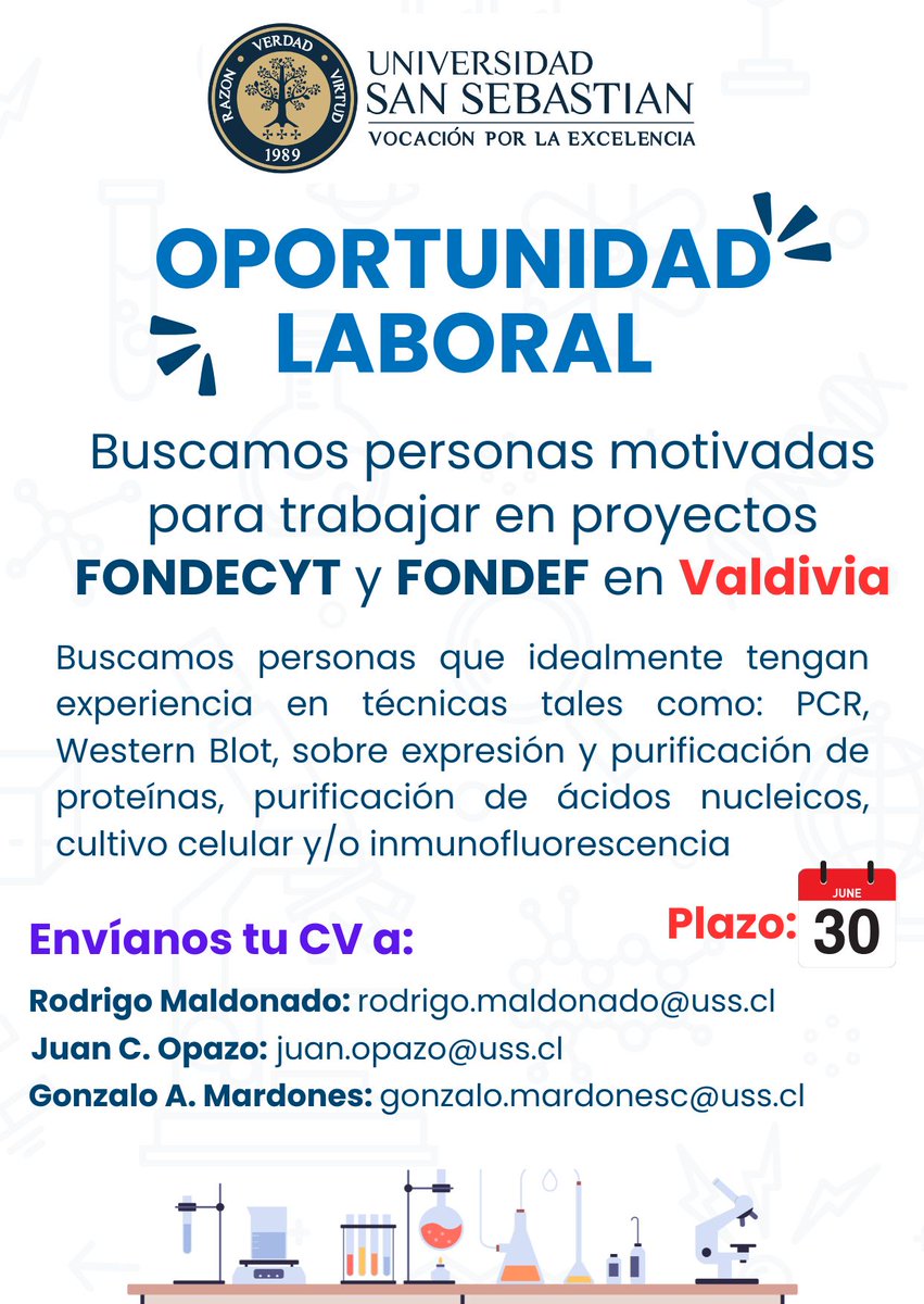 opazolab's tweet image. 🔬 ¡Oportunidad laboral en Valdivia! 🌿
¿Te apasiona la ciencia y la investigación?
En la Universidad San Sebastián estamos buscando personas motivadas para trabajar en proyectos FONDECYT y FONDEF 🧪
¡Súmate a nuestro equipo en Valdivia