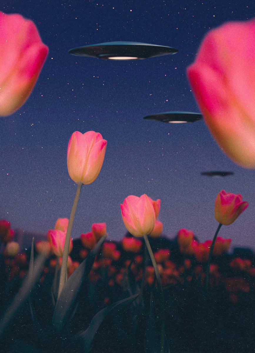 POSTWOOK's tweet image. life from a bugs perspective