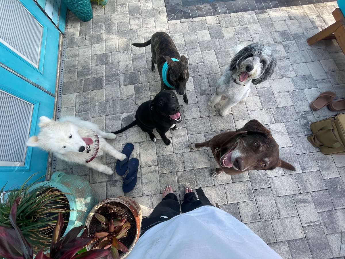 Brian Hudson tweet media