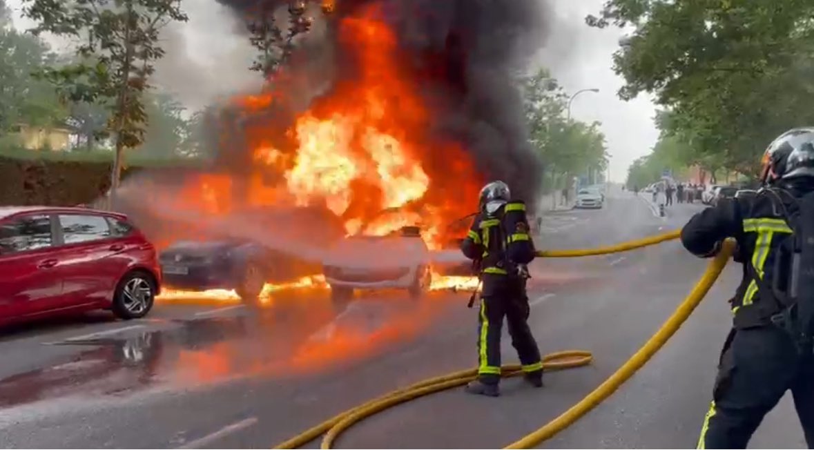 Parque 11 tweet media