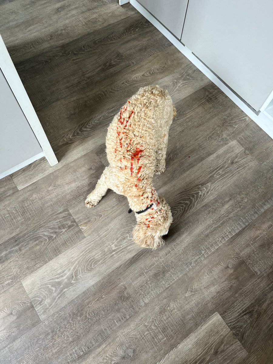 So.  Turns out that I didn’t get all of the passata into the saucepan as I first thought!