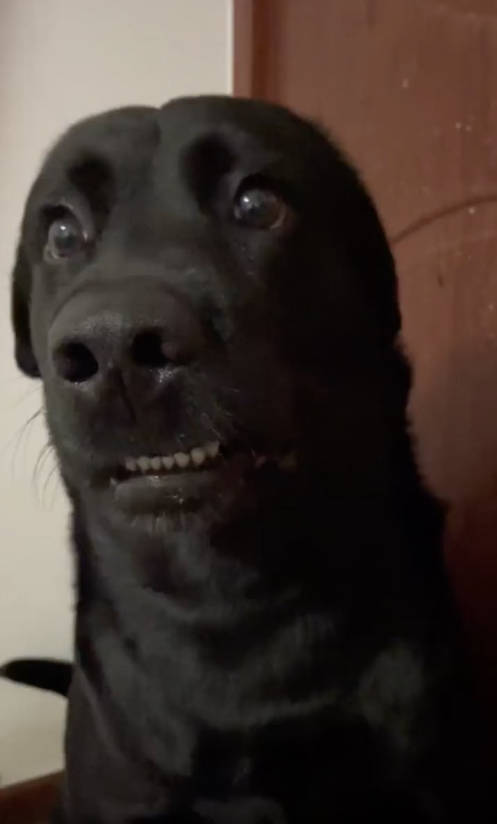 VanBrooks.algo tweet media