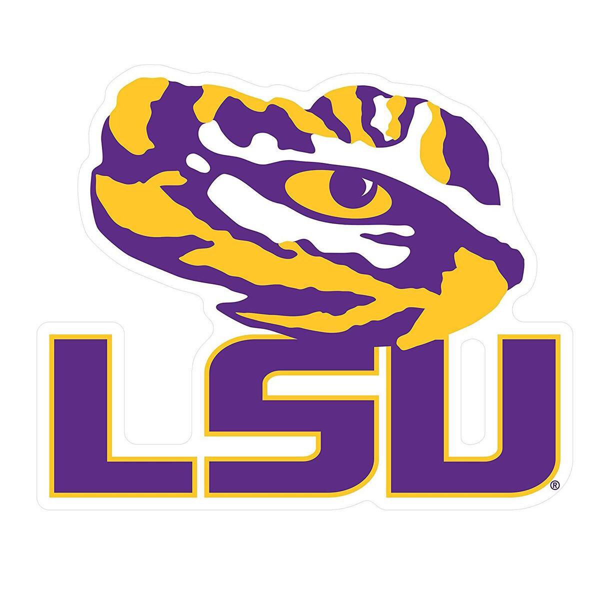 Gavinhiggins25's tweet image. After a great conversation with @Coach_AAnand I am Excited to receive a full scholarship to play football at LSU!
Thank you to @HKA_Tanalski @Briggs_bourg @BaltarJackson for everything y’all have done for me!
@PBS_EaglesFB @LSUfootball @KohlsKicking @LASpecialTeams