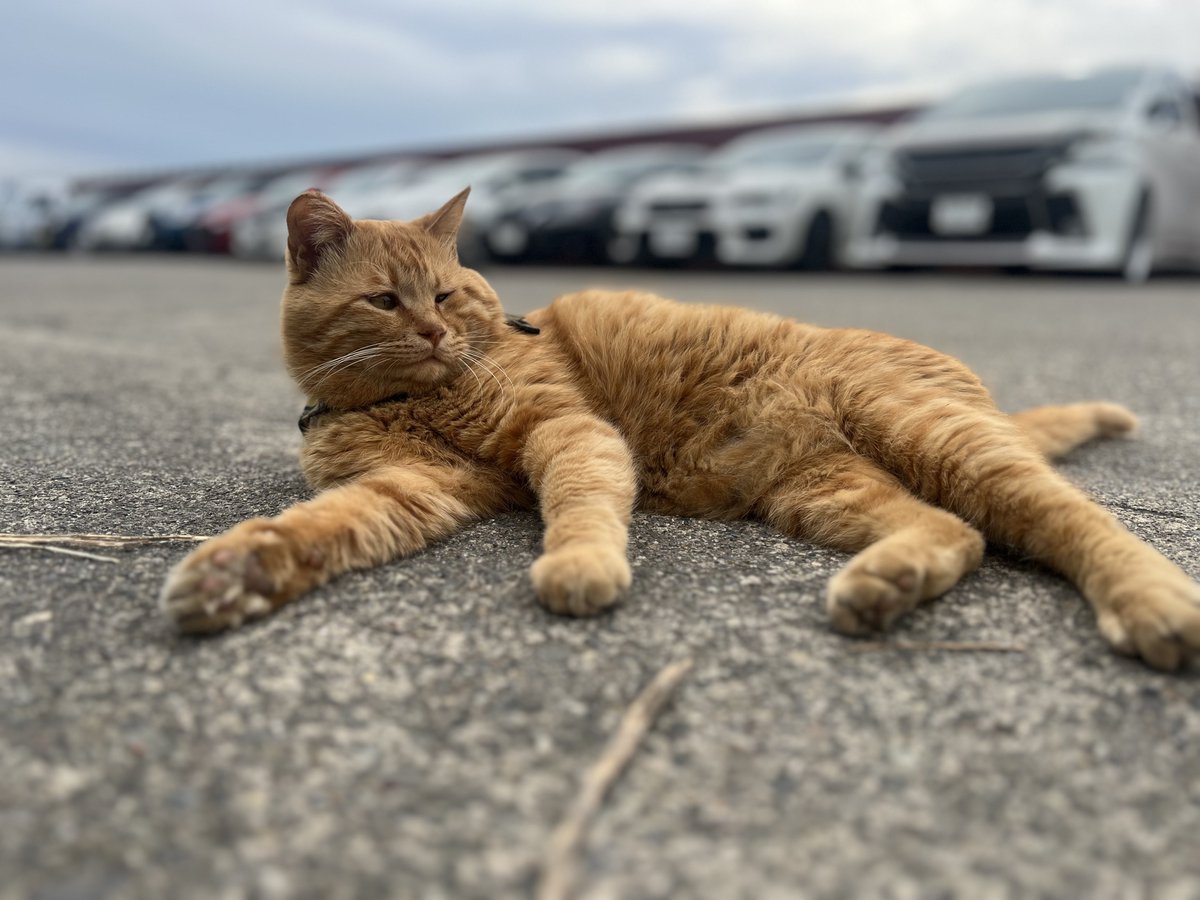 今日も元気にのんびりしてます