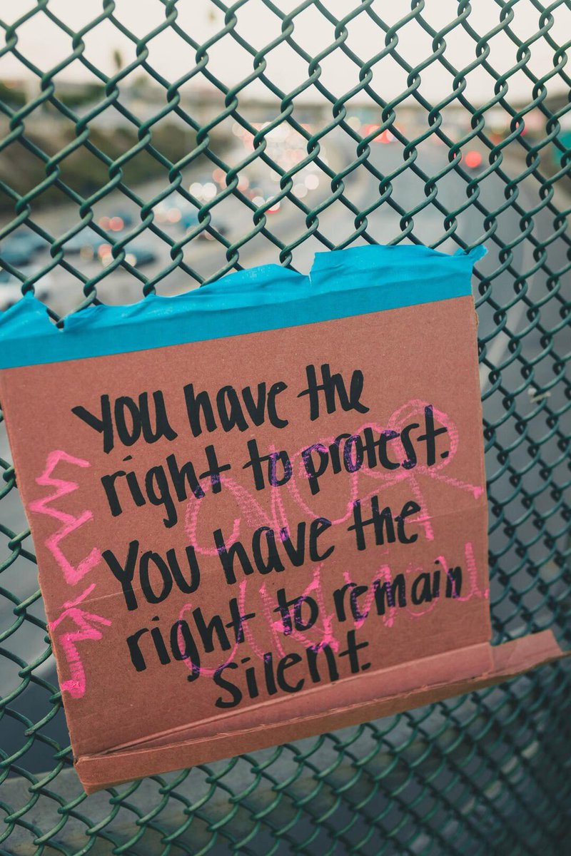 justbudfox's tweet image. Burn. It. All. Down. #StandWithLA