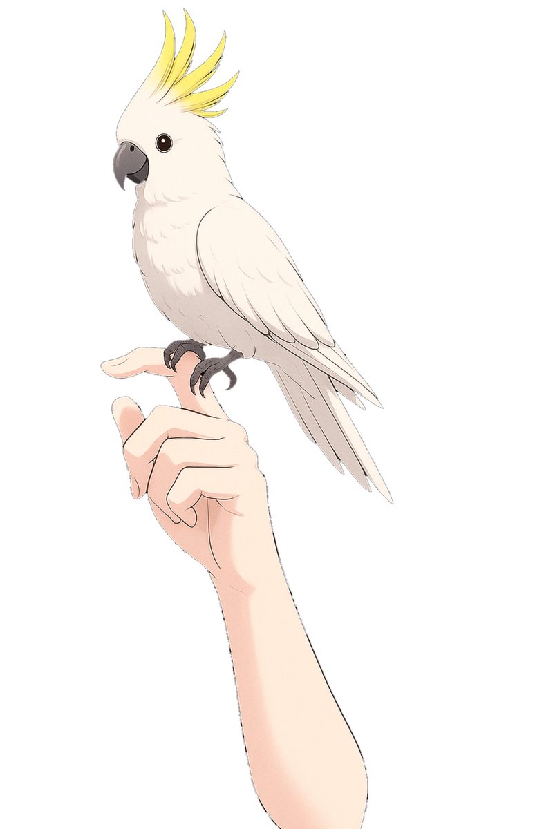 k_453's tweet photo. 🐥Vtuber・Vライバー素材配布🐥
6月15日は #オウムとイン��の日
インコとオウムを持ってみよう！

おはようVTuberにどうぞ♡
■いいね＆RTで使用OK

#Vライバー素材 #おはようVtuber️️️️ #おはようVtuber素材
#オウムインコデー #avvy https://t.co/ZdNlacEC4e