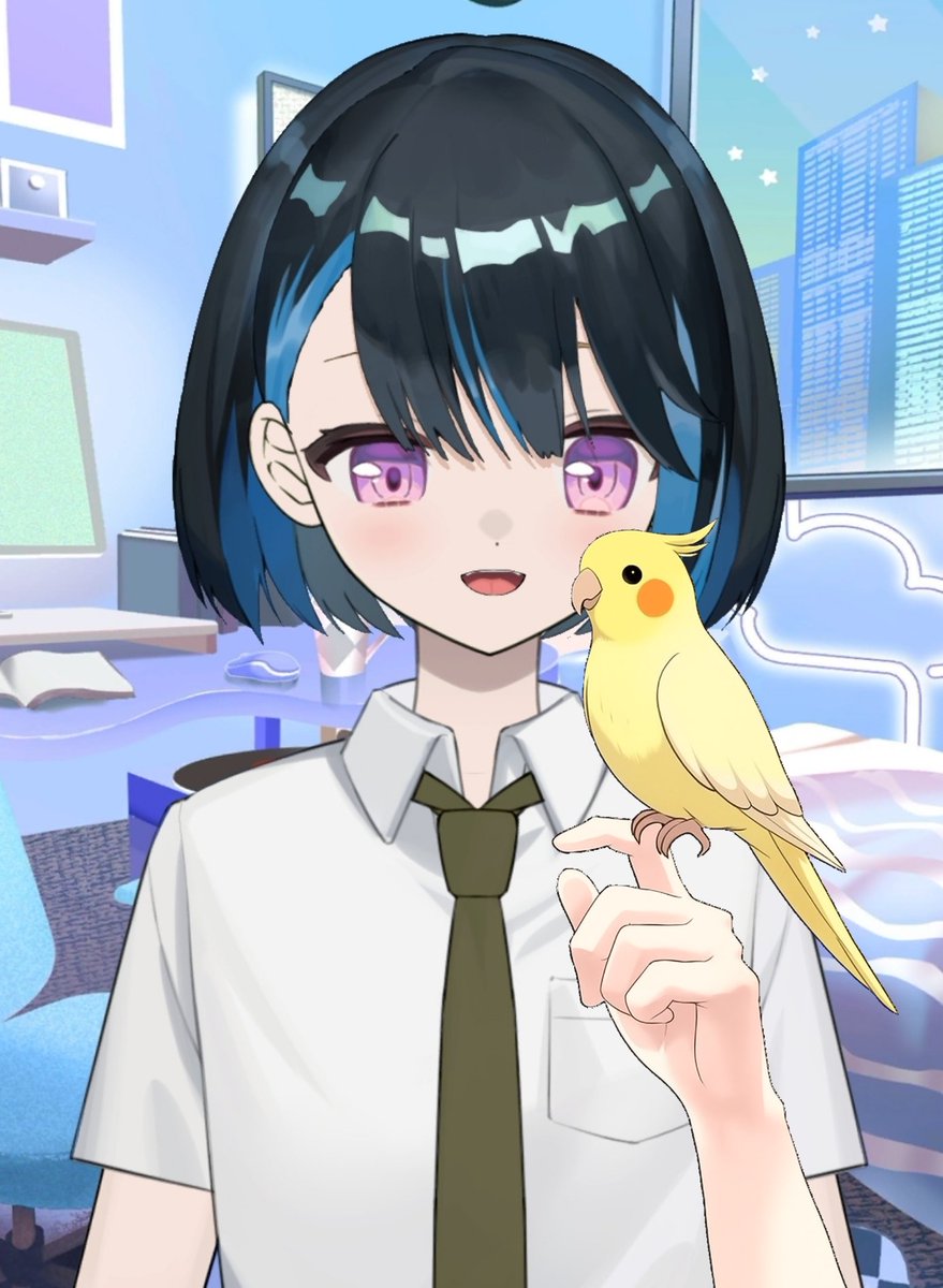 k_453's tweet photo. 🐥Vtuber・Vライバー素材配布🐥
6月15日は #オウムとイン��の日
インコとオウムを持ってみよう！

おはようVTuberにどうぞ♡
■いいね＆RTで使用OK

#Vライバー素材 #おはようVtuber️️️️ #おはようVtuber素材
#オウムインコデー #avvy https://t.co/ZdNlacEC4e