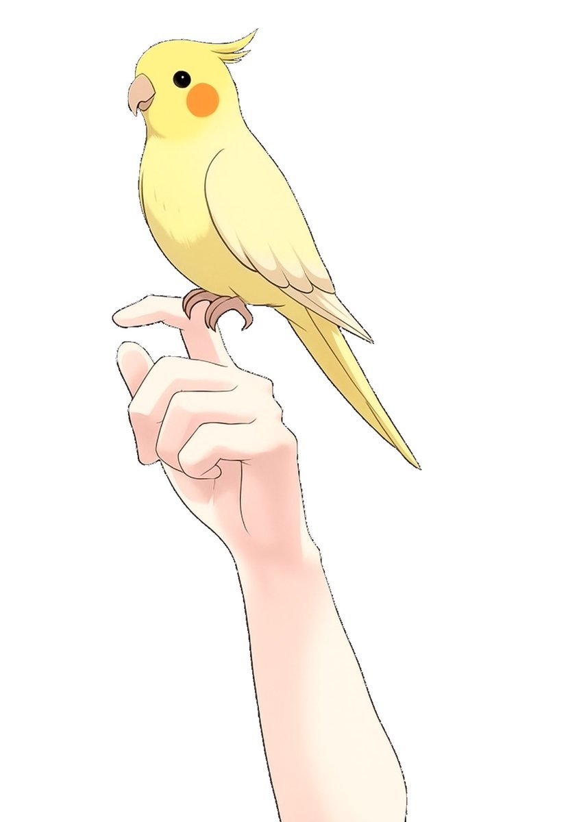 k_453's tweet photo. 🐥Vtuber・Vライバー素材配布🐥
6月15日は #オウムとイン��の日
インコとオウムを持ってみよう！

おはようVTuberにどうぞ♡
■いいね＆RTで使用OK

#Vライバー素材 #おはようVtuber️️️️ #おはようVtuber素材
#オウムインコデー #avvy https://t.co/ZdNlacEC4e
