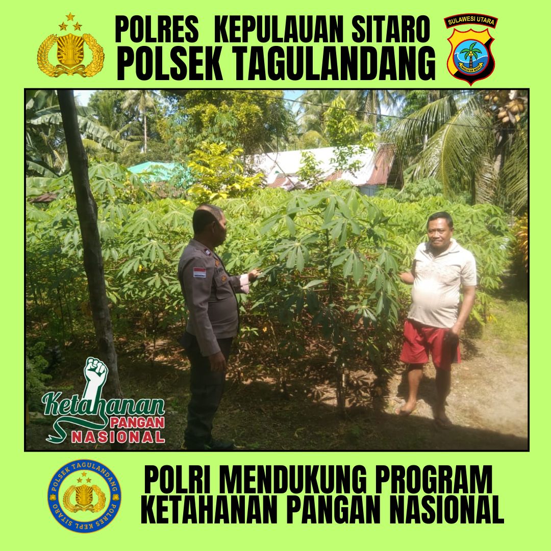 putrayws's tweet image. POLSEK TAGULANDANG POLRES KEPL SITARO MENDUKUNG PROGRAM KETAHANAN PANGAN
#astacita
#swasembadapangan
#ketahananpangan
#polirimendukungketahananpangan
#polisicintapetani
#swasembadapanganpoldasulut
#ketahananpanganpoldasulut
#ketahananpanganpolreskepulauansitaro
#poldasulut
#sulut